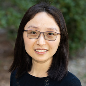 Dr. Lingping Kong
