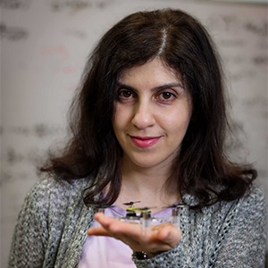 Zahra Nili Ahmadabadi